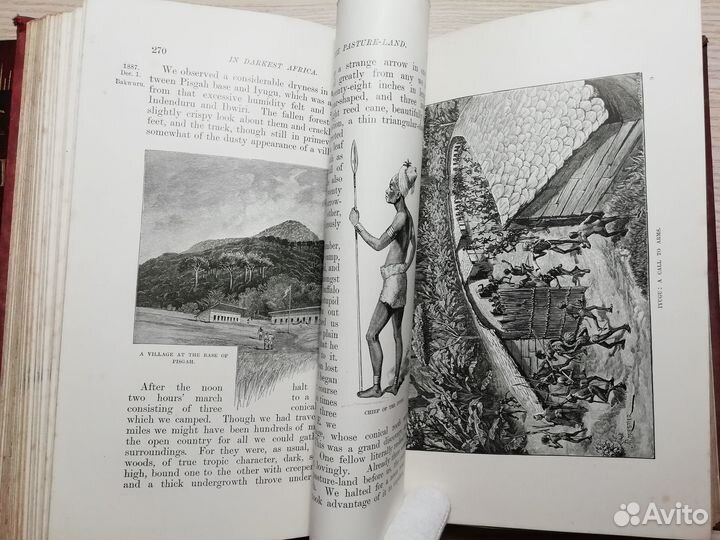 1890 год. В дебрях Африки, Стэнли. 150 иллюст. 2/2