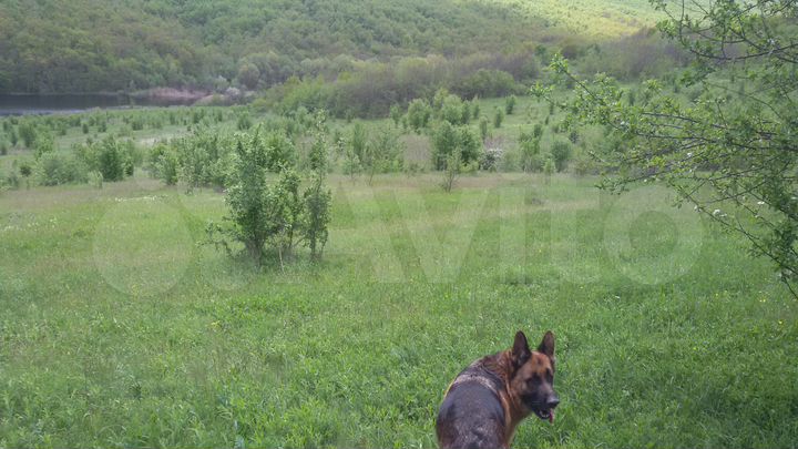 Участок 4,26 га (СНТ, ДНП)