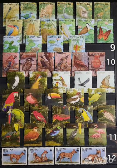 Коллекция марок фауна 60-90х 3 чистые