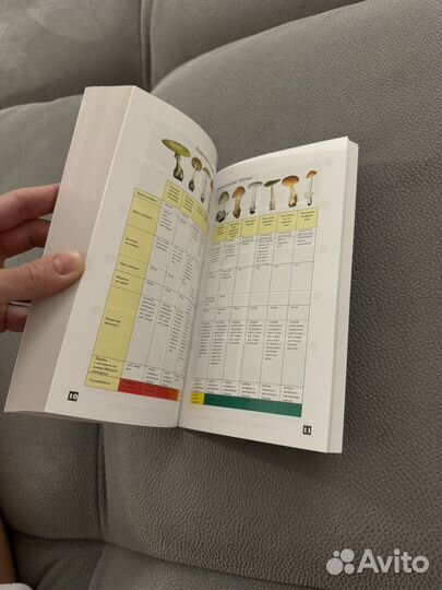 Михаил вишневский грибы новая книга