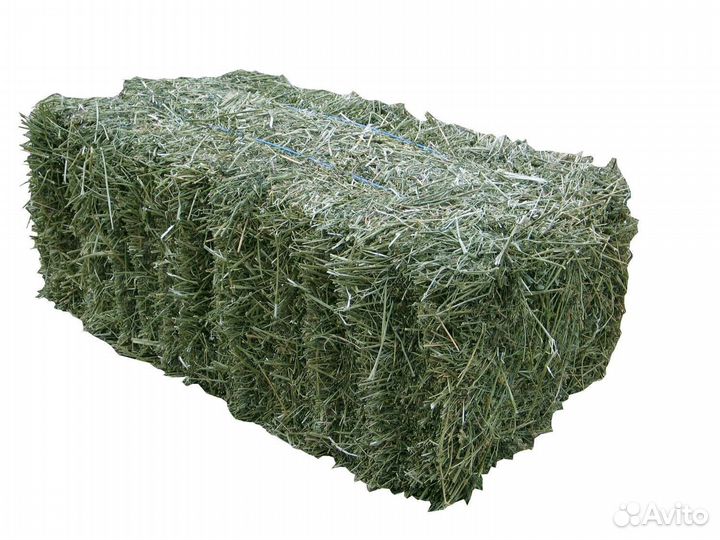 Сено в тюках