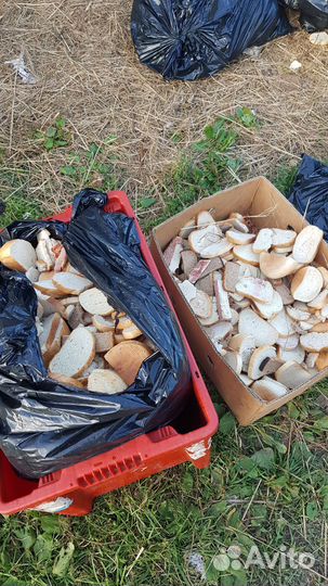 Хлеб для корма животных