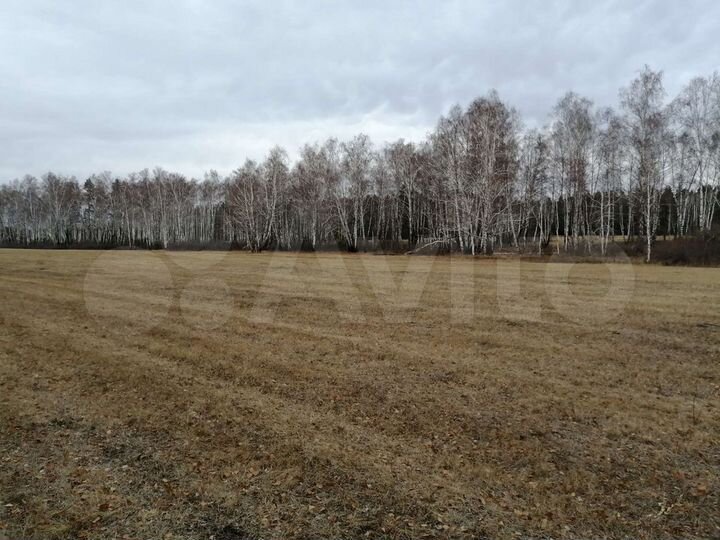 Участок 3,18 га (СНТ, ДНП)