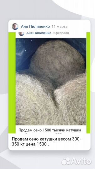 Сено в рулонах