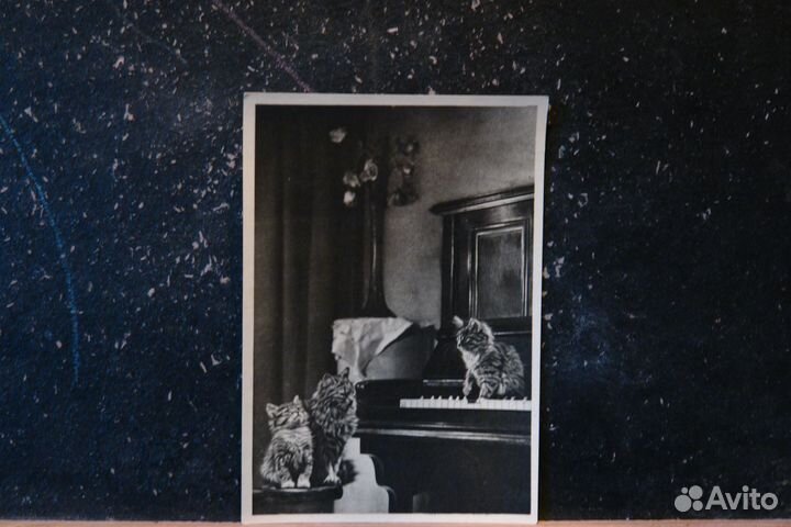 Старые открытки