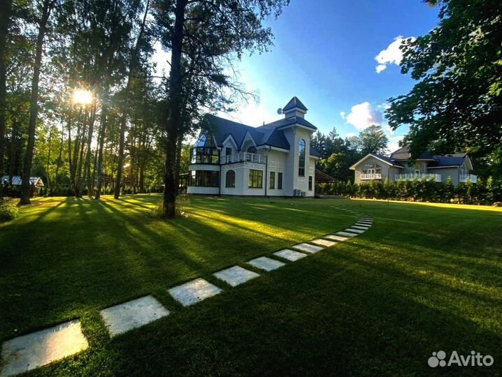 Рулонный газон