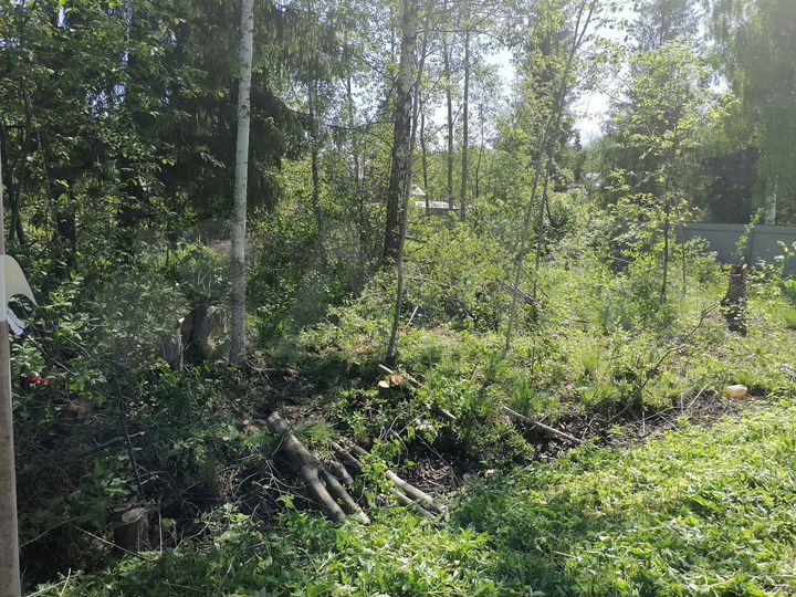 Участок 6 сот. (СНТ, ДНП)