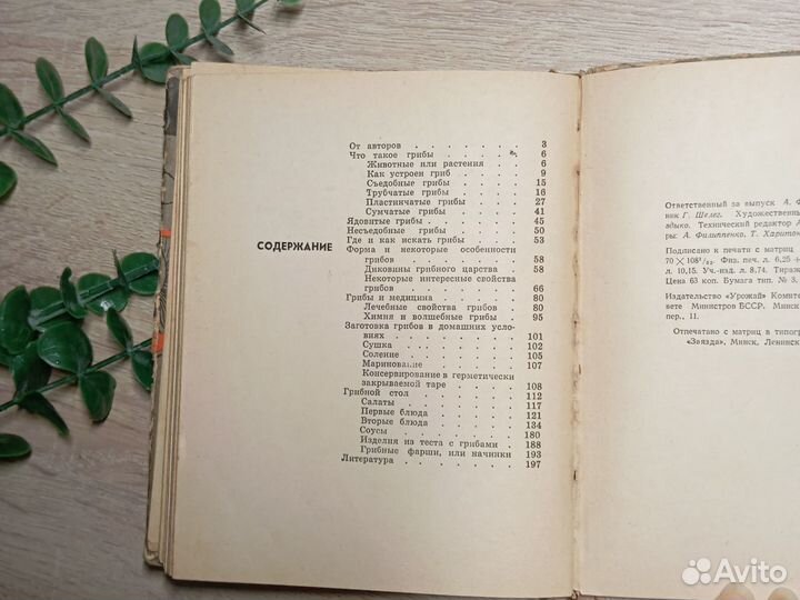 Книга Грибы наших лесов