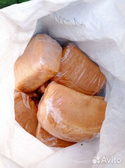 Хлеб для поросят, собак, курочек и тд