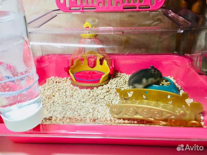 Клетка для грызунов