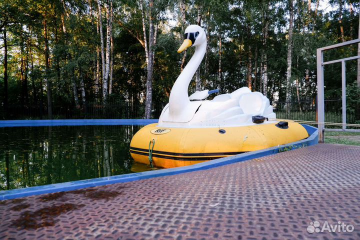 Аттракцион Бамперные лодки