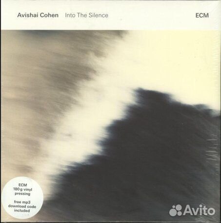 Cohen, Avishai Into The Silence 2LP