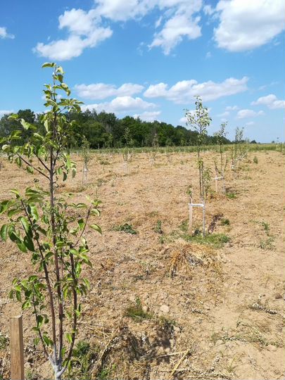 Дача 48 м² на участке 1,48 га