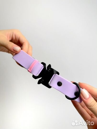 Ошейник и поводок для собак