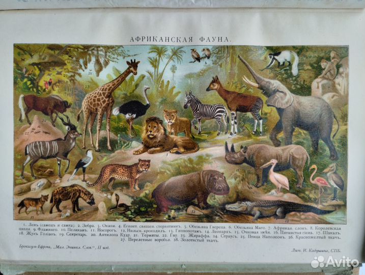 Старинные книги