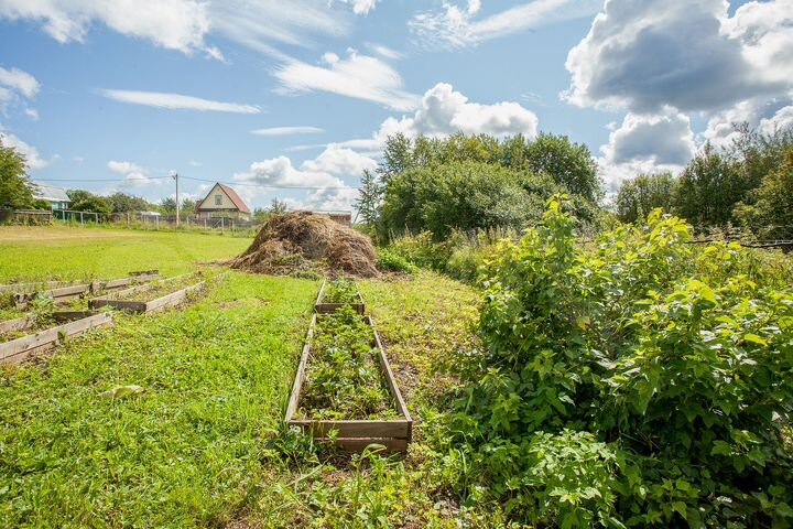 Участок 25 сот. (ИЖС)