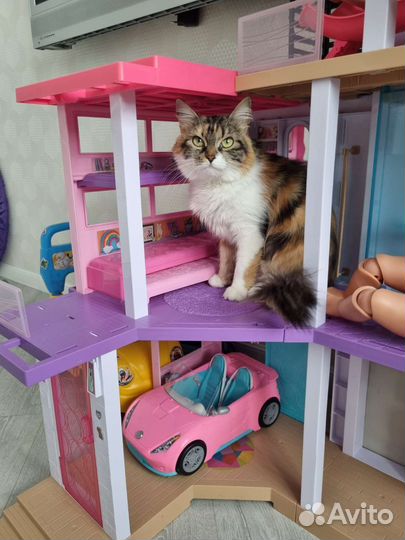 Barbie Дом мечты GRG93, розовый