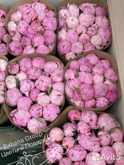 Пионы, гортензии, розы с доставкой. Цветы 24/7