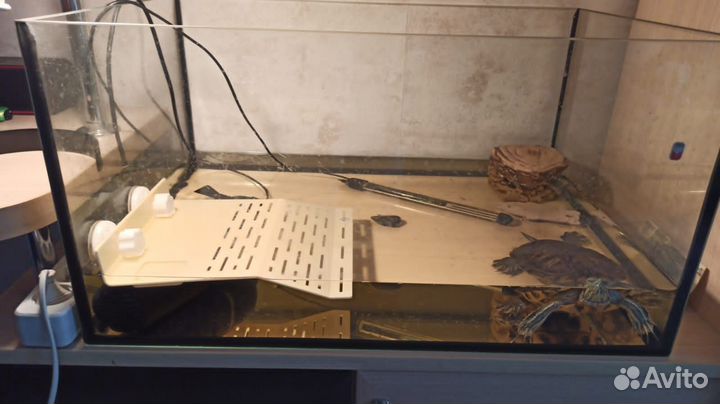 Черепашка и аквариум