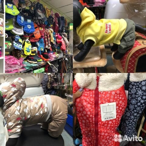 Одежда для собак и кошек