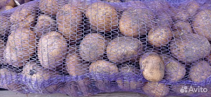 Фермерские продукты