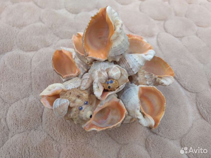 Фигурки из морских ракушек