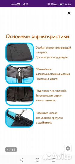 Одежда для собак