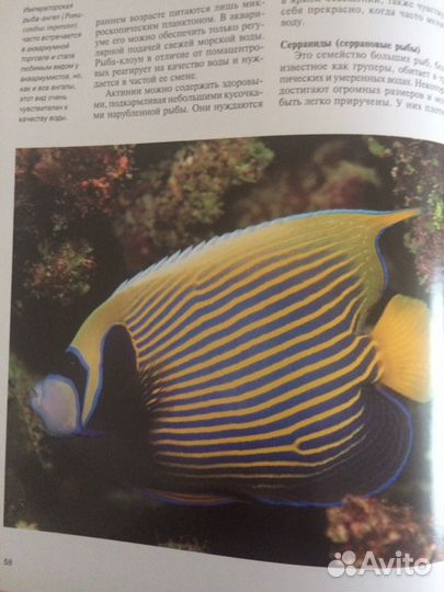 Книга «Аквариумные рыбки»