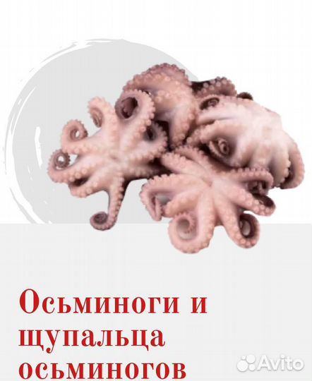 Осьминог 60/80 7%