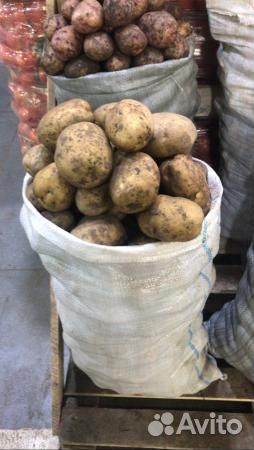 Продам картофель