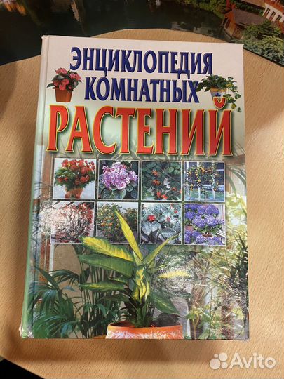 Энциклопедия комнатных растений