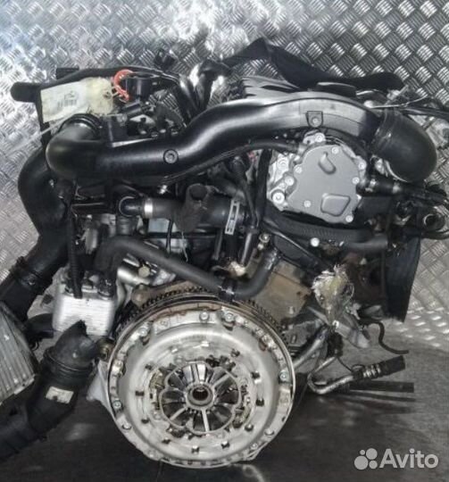 Двигатель BSS Skoda Super B 2.0tdi