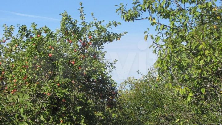 Участок 15 сот. (ИЖС)