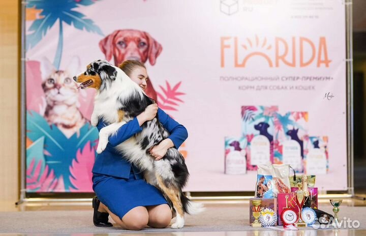 Услуги хендлера