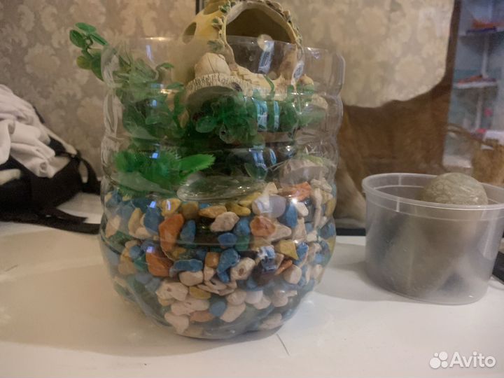 Аквариум, дикорации и фильтр