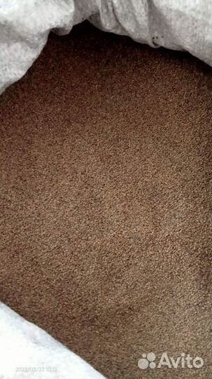 Семена люцерны