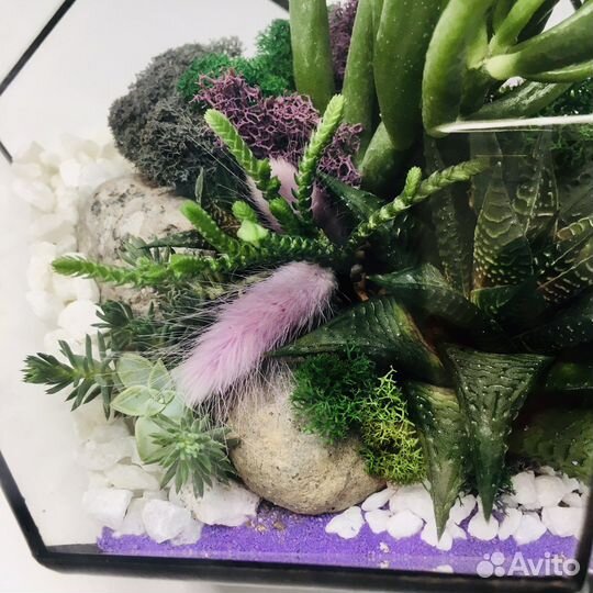 Флорариум с экзотическими цветами