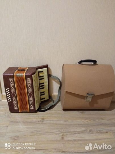 На доставке Аккордеон детский малыш