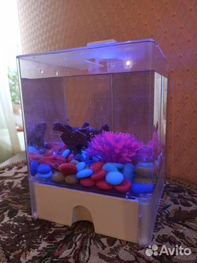 Аквариум с декорациями