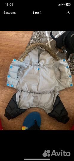 Комбинезон для собачки