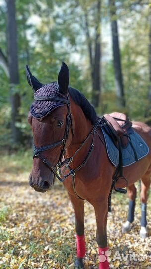 Конные прогулки