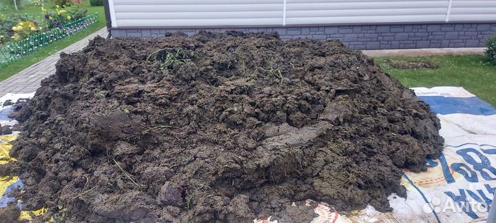 Навоз коровий