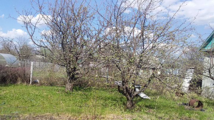 Участок 4 сот. (СНТ, ДНП)