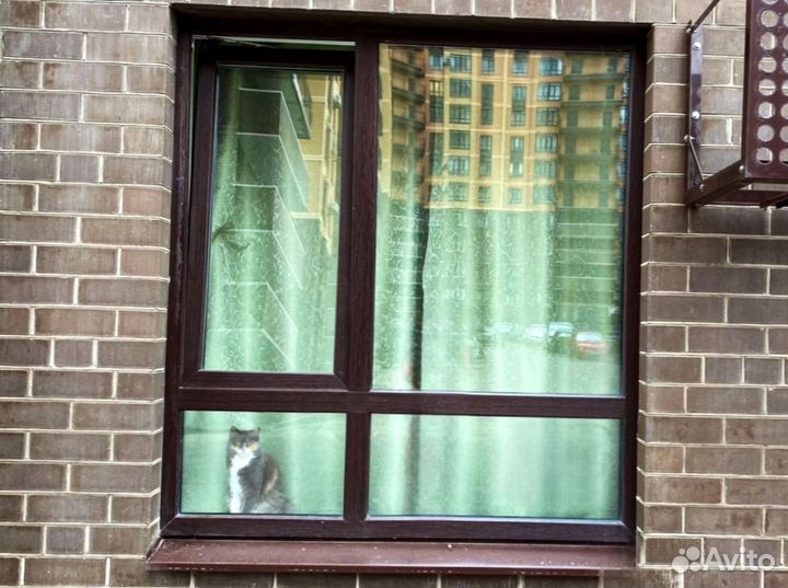 Пластиковые окна новые