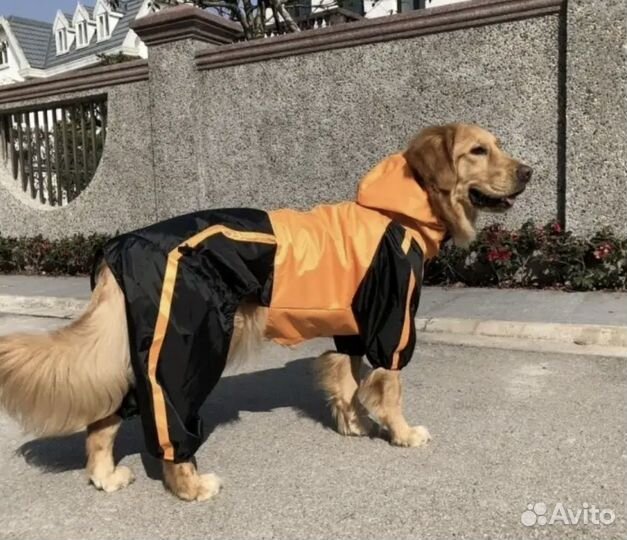 Комбинезон для крупной собаки