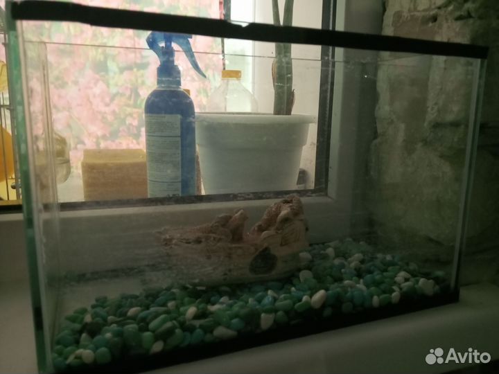 Аквариум с лодкой