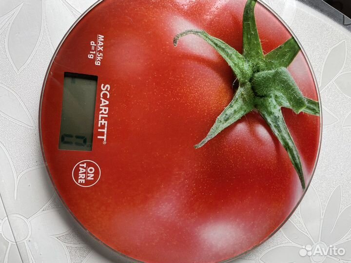 Весы scarlett кухонные