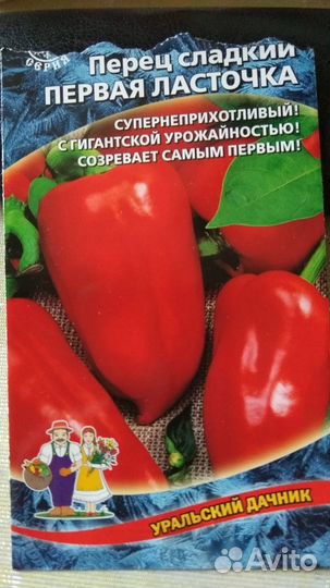 Продам рассаду