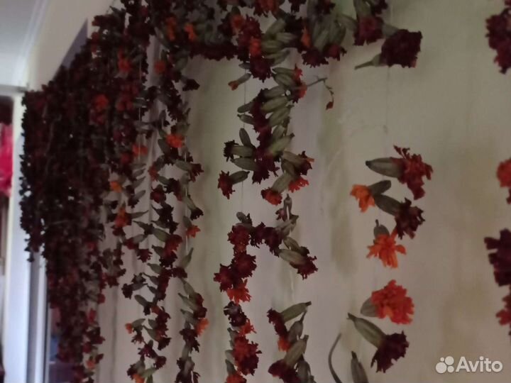 Цветы бархатцев