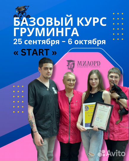 Курс Груминга milord